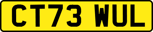 CT73WUL