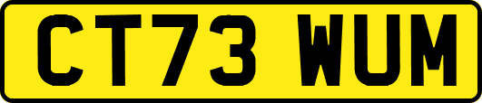 CT73WUM