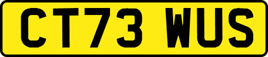 CT73WUS