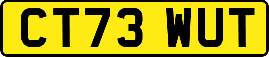 CT73WUT
