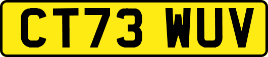 CT73WUV