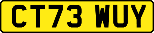 CT73WUY
