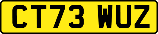 CT73WUZ