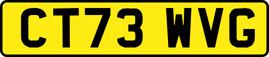 CT73WVG