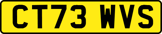 CT73WVS