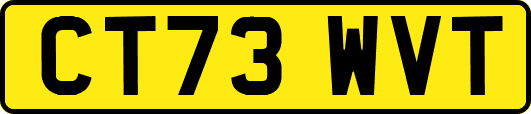 CT73WVT