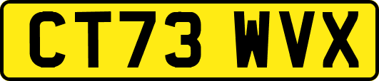 CT73WVX