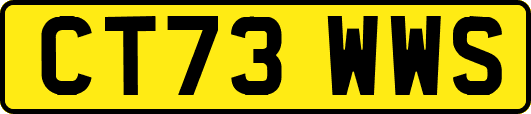 CT73WWS