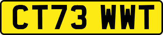 CT73WWT