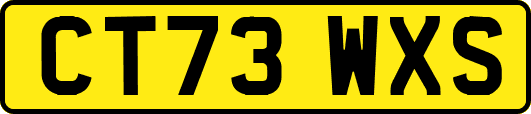 CT73WXS