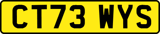 CT73WYS