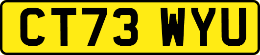 CT73WYU