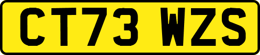 CT73WZS