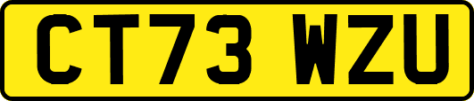 CT73WZU