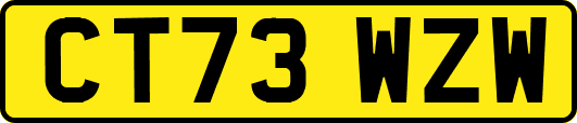 CT73WZW