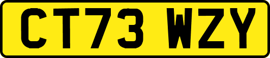 CT73WZY