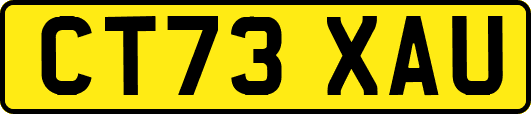 CT73XAU