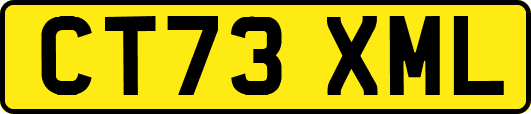 CT73XML