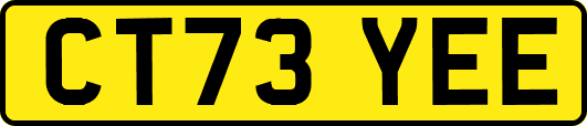 CT73YEE