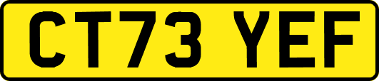 CT73YEF