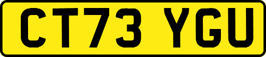 CT73YGU