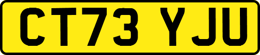 CT73YJU