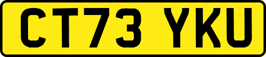 CT73YKU
