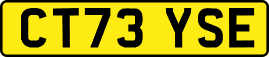 CT73YSE