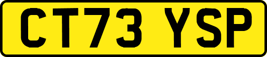 CT73YSP