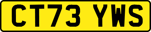 CT73YWS