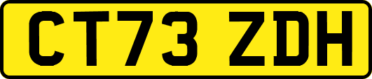 CT73ZDH