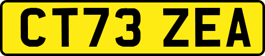 CT73ZEA