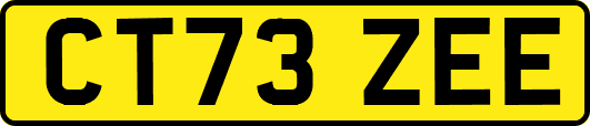 CT73ZEE