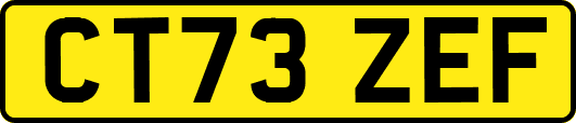 CT73ZEF