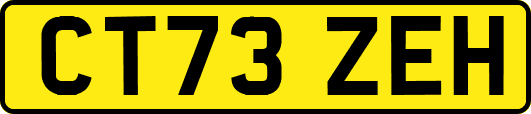CT73ZEH