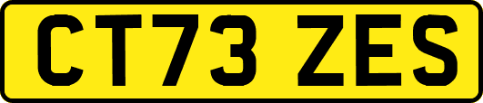 CT73ZES