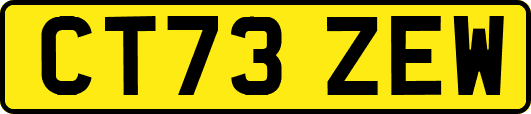 CT73ZEW