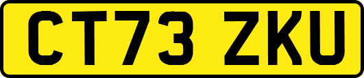 CT73ZKU
