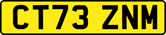 CT73ZNM
