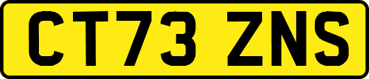 CT73ZNS