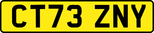 CT73ZNY