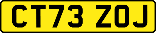 CT73ZOJ