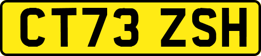 CT73ZSH