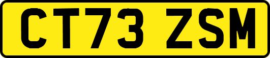 CT73ZSM