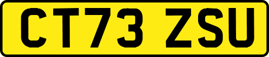 CT73ZSU
