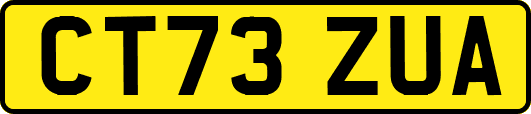 CT73ZUA