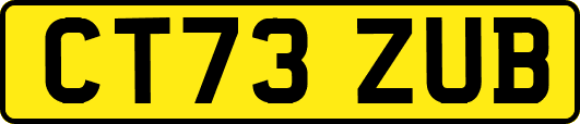 CT73ZUB