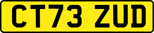CT73ZUD