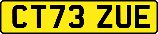 CT73ZUE