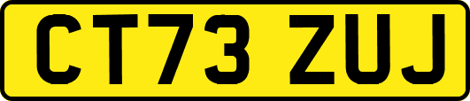 CT73ZUJ